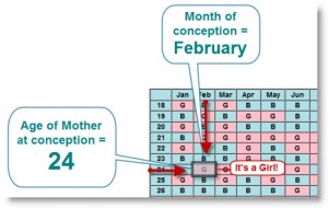chinese-birth-chart-example